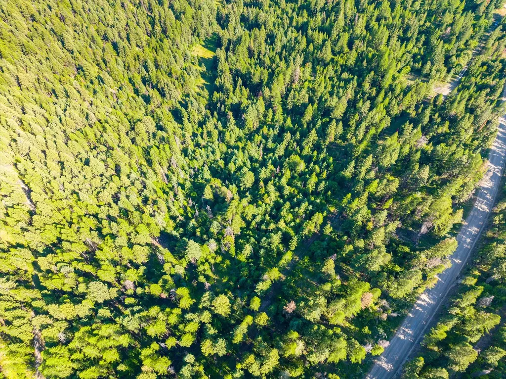 2255 Ashley Lake Road Kalispell MT 59901