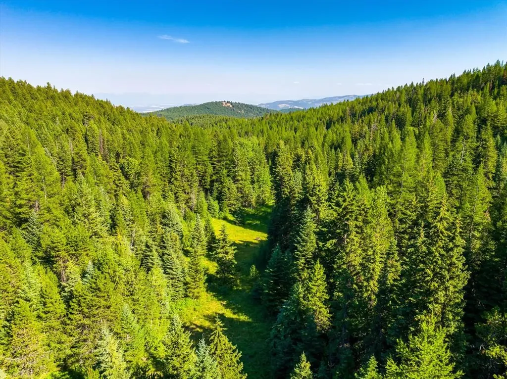 2255 Ashley Lake Road Kalispell MT 59901