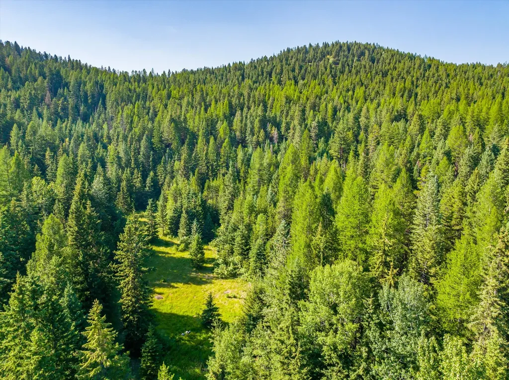 2255 Ashley Lake Road Kalispell MT 59901