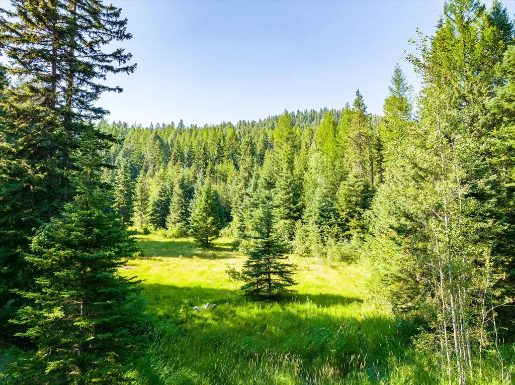 2255 Ashley Lake Road Kalispell MT 59901