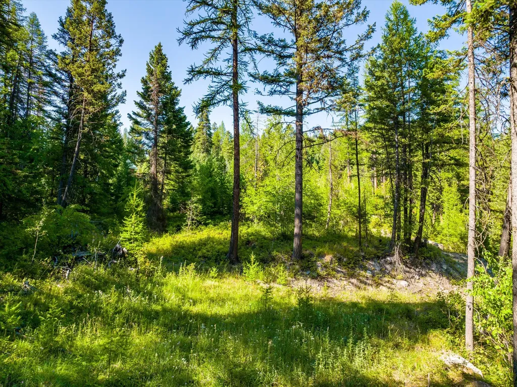 2255 Ashley Lake Road Kalispell MT 59901