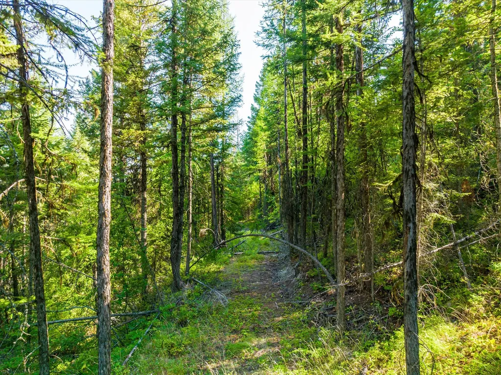 2255 Ashley Lake Road Kalispell MT 59901