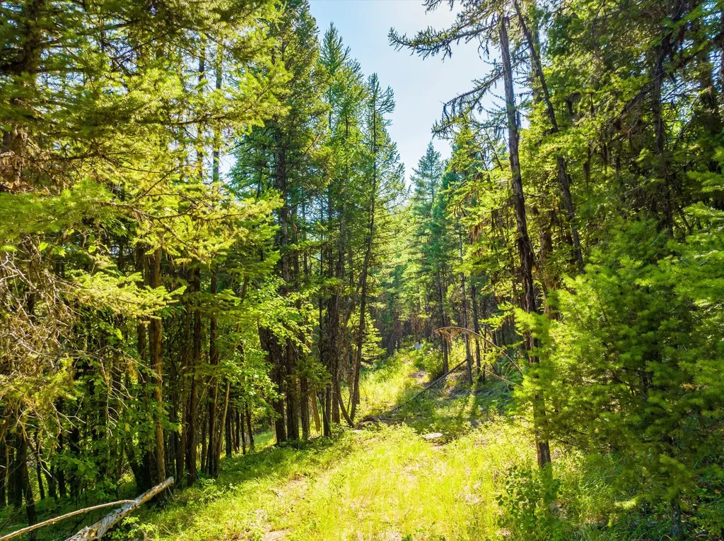 2255 Ashley Lake Road Kalispell MT 59901