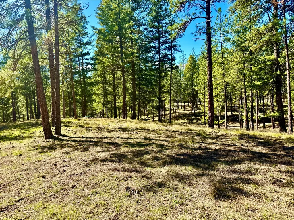 21481 Nine Mile Road Huson MT 59846