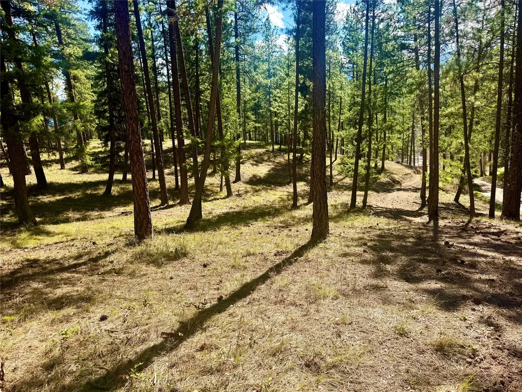 21481 Nine Mile Road Huson MT 59846