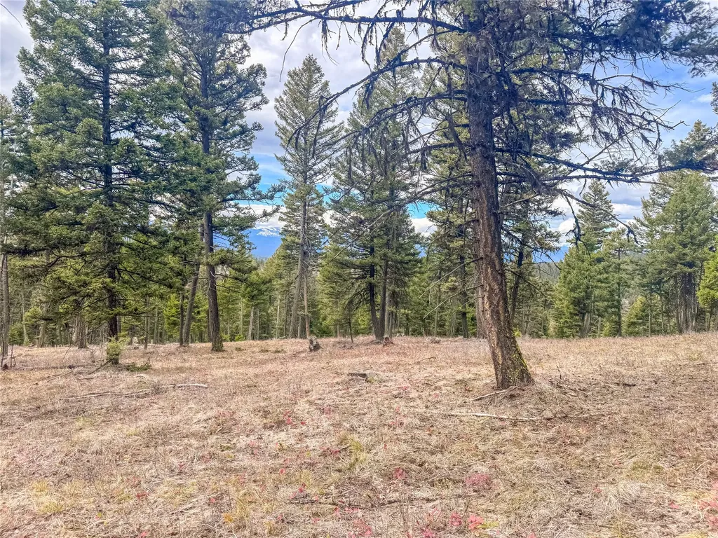 Nhn Old Oregon Trail Clinton MT 59825