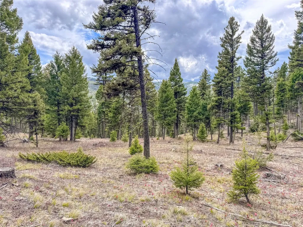 Nhn Old Oregon Trail Clinton MT 59825