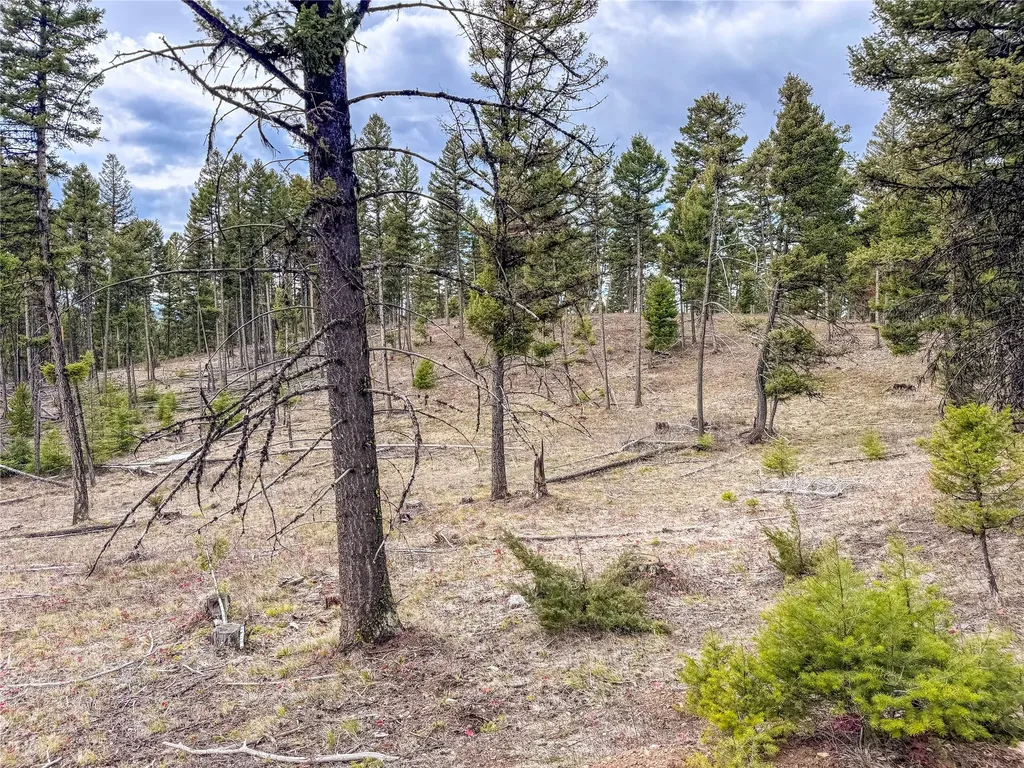 Nhn Old Oregon Trail Clinton MT 59825