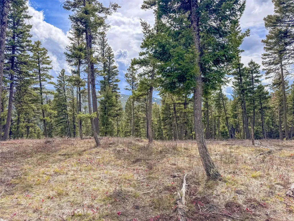 Nhn Old Oregon Trail Clinton MT 59825