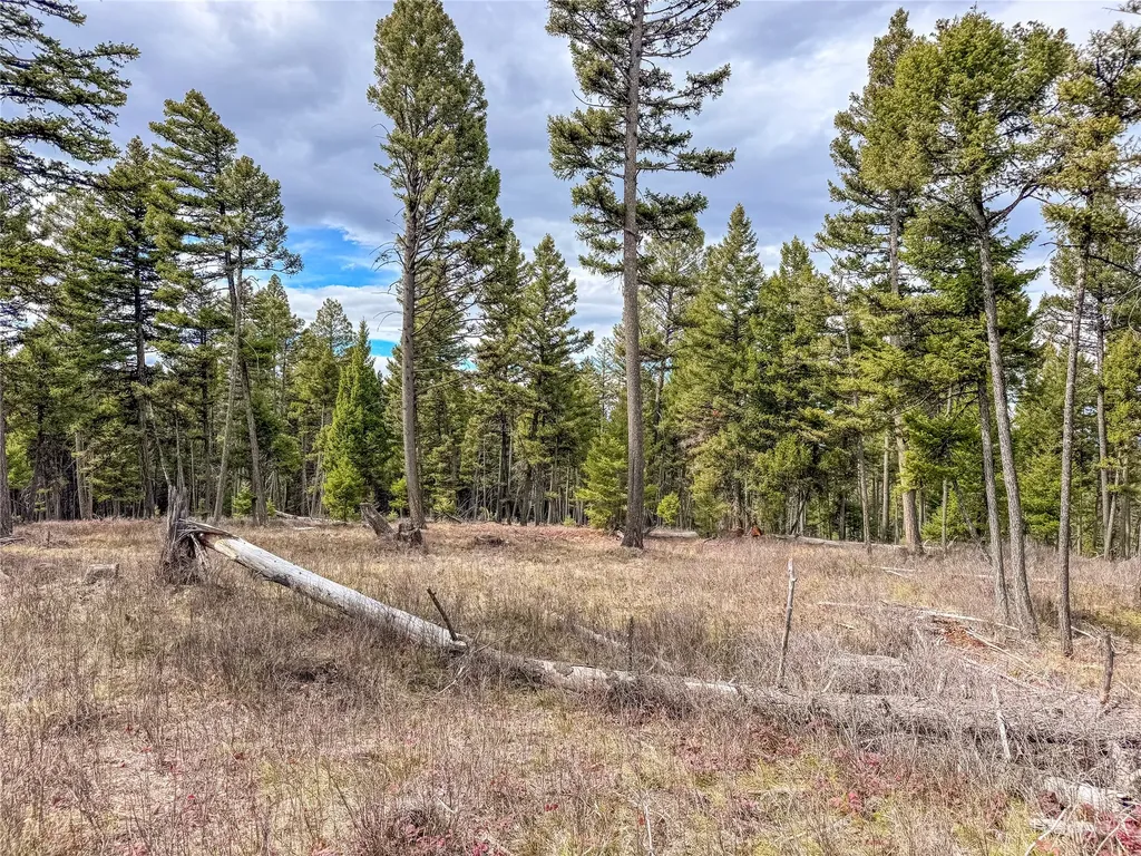 Nhn Old Oregon Trail Clinton MT 59825