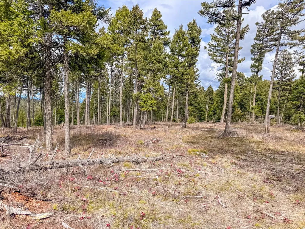 Nhn Old Oregon Trail Clinton MT 59825