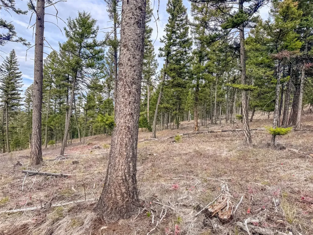 Nhn Old Oregon Trail Clinton MT 59825
