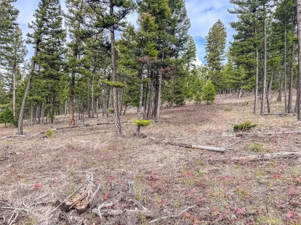 Nhn Old Oregon Trail Clinton MT 59825