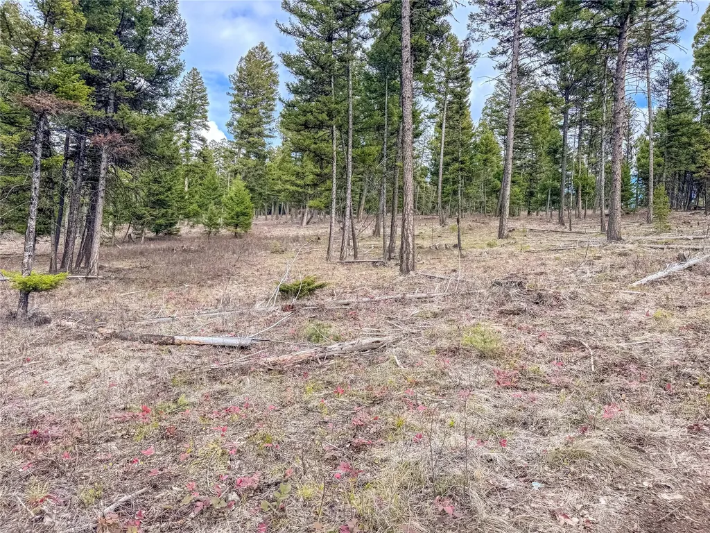 Nhn Old Oregon Trail Clinton MT 59825