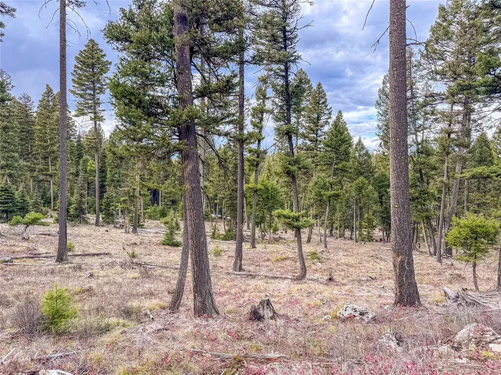 Nhn Old Oregon Trail Clinton MT 59825