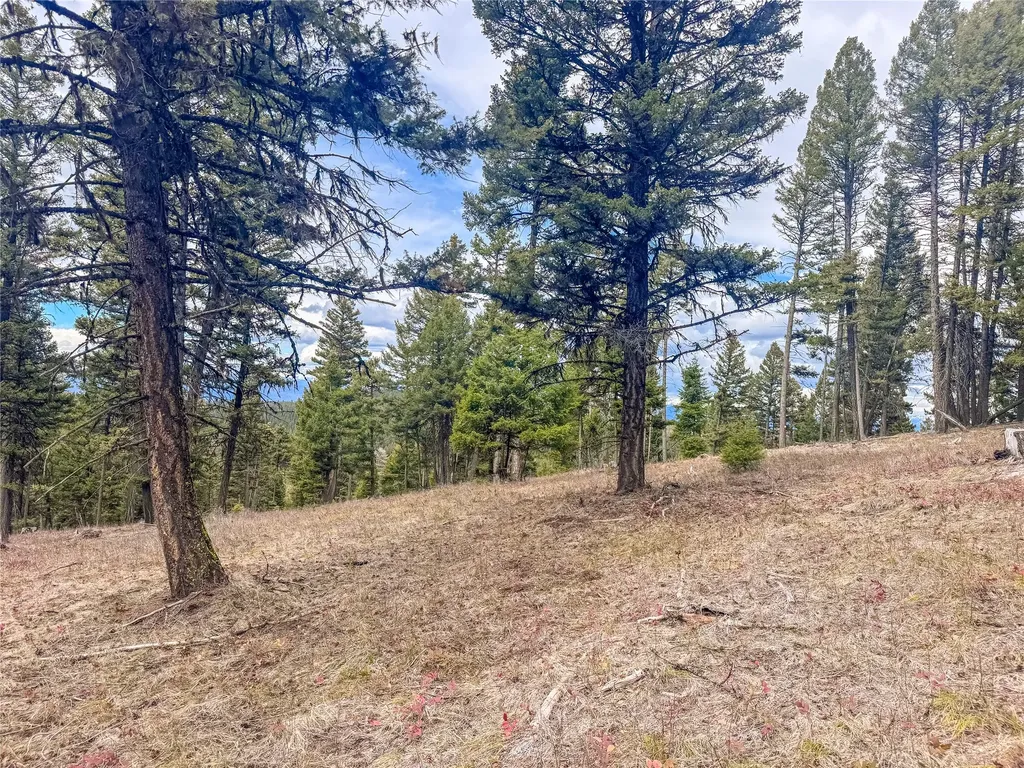 Nhn Old Oregon Trail Clinton MT 59825