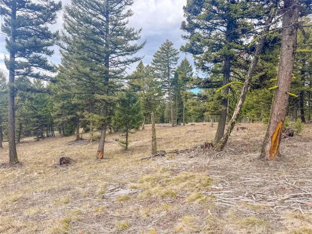 Nhn Old Oregon Trail Clinton MT 59825