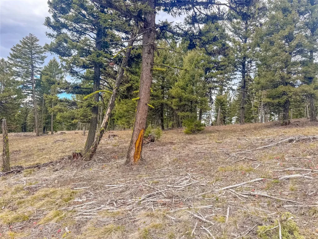 Nhn Old Oregon Trail Clinton MT 59825
