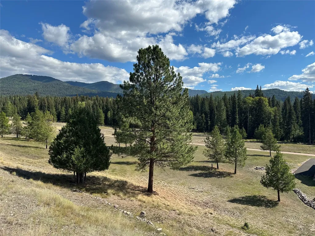 975 Whitetail Drive Seeley Lake MT 59868