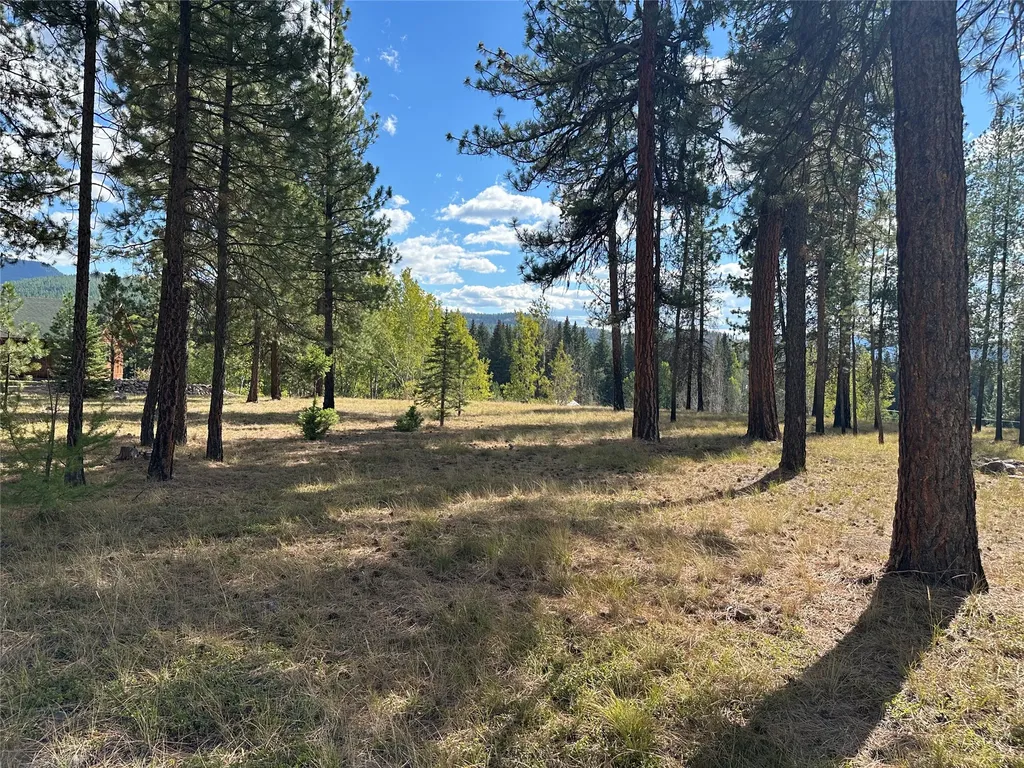 975 Whitetail Drive Seeley Lake MT 59868