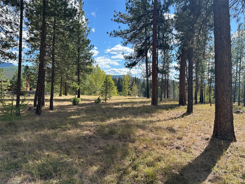 975 Whitetail Drive Seeley Lake MT 59868