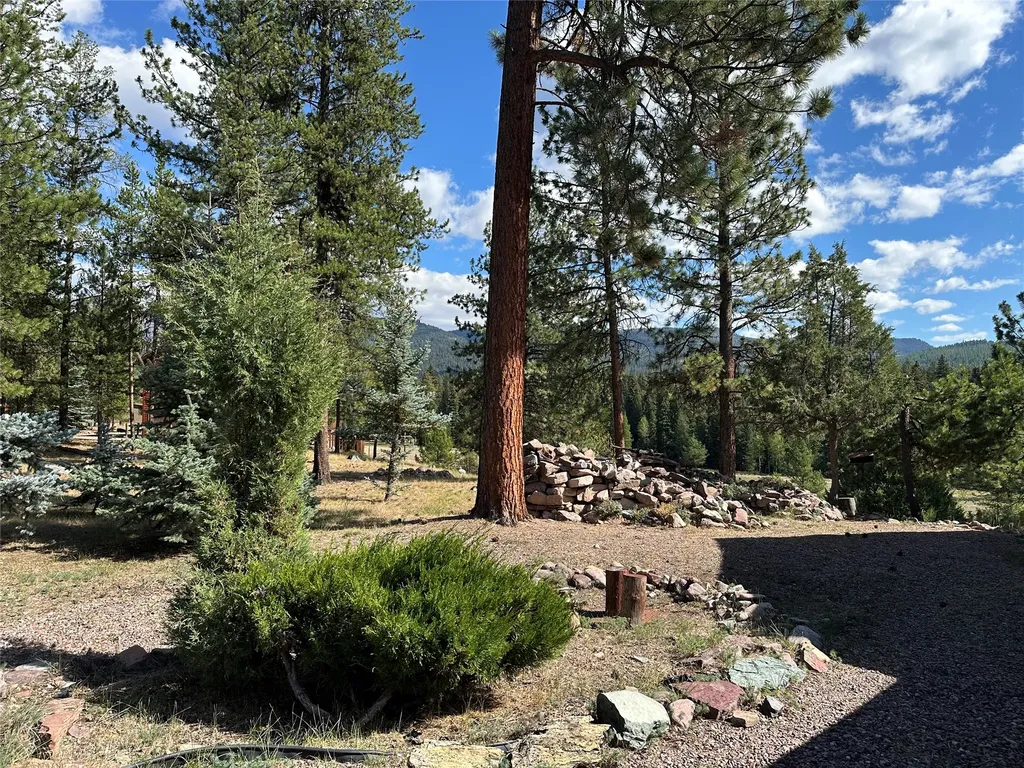 975 Whitetail Drive Seeley Lake MT 59868