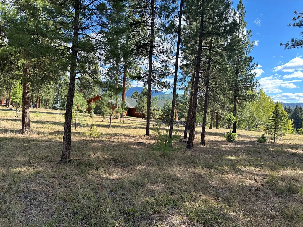 975 Whitetail Drive Seeley Lake MT 59868