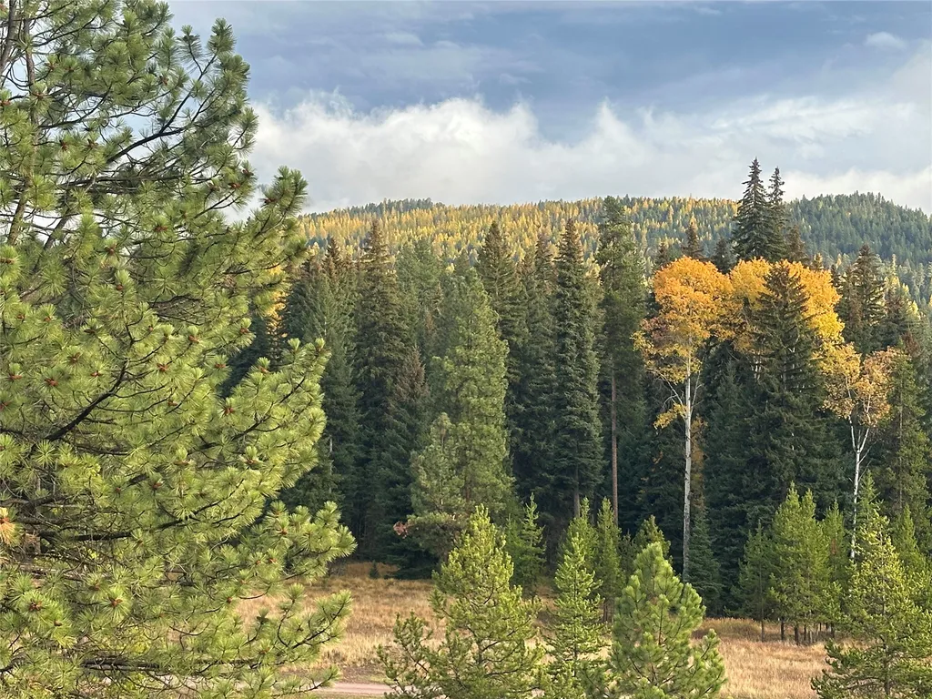 975 Whitetail Drive Seeley Lake MT 59868