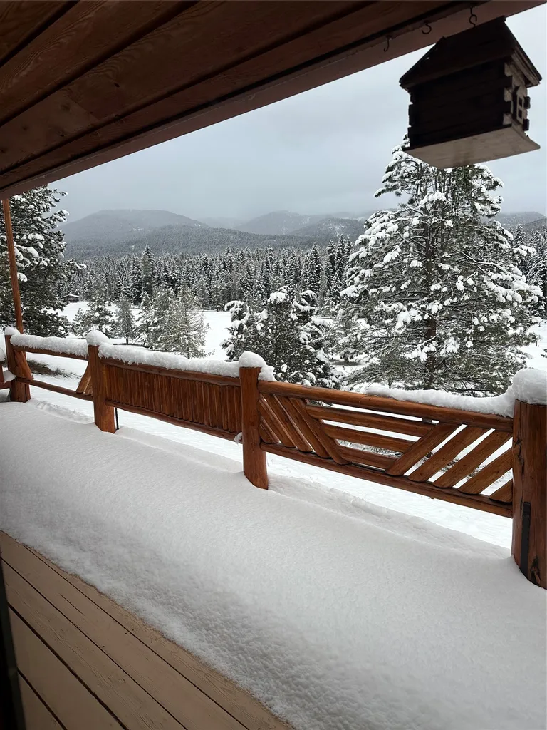 975 Whitetail Drive Seeley Lake MT 59868