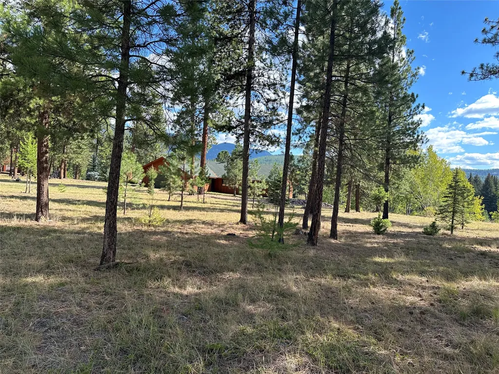 975 Whitetail Drive Seeley Lake MT 59868