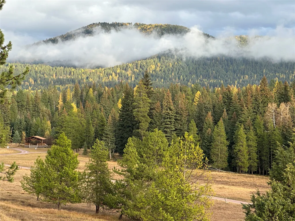 975 Whitetail Drive Seeley Lake MT 59868