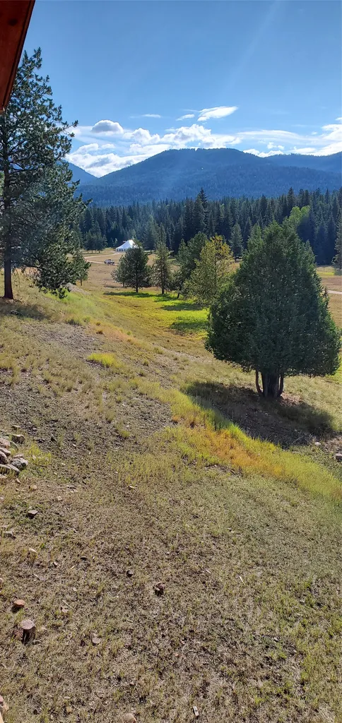 975 Whitetail Drive Seeley Lake MT 59868