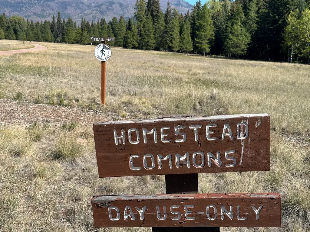975 Whitetail Drive Seeley Lake MT 59868
