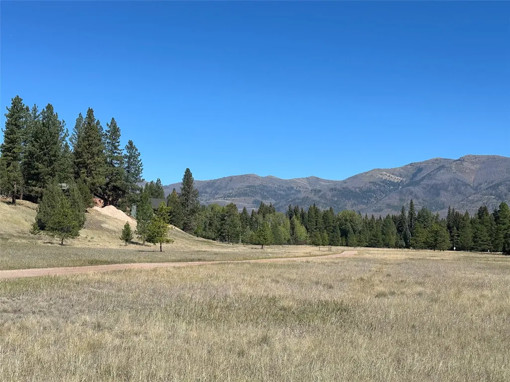 975 Whitetail Drive Seeley Lake MT 59868