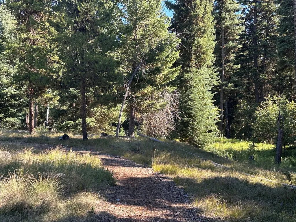 975 Whitetail Drive Seeley Lake MT 59868