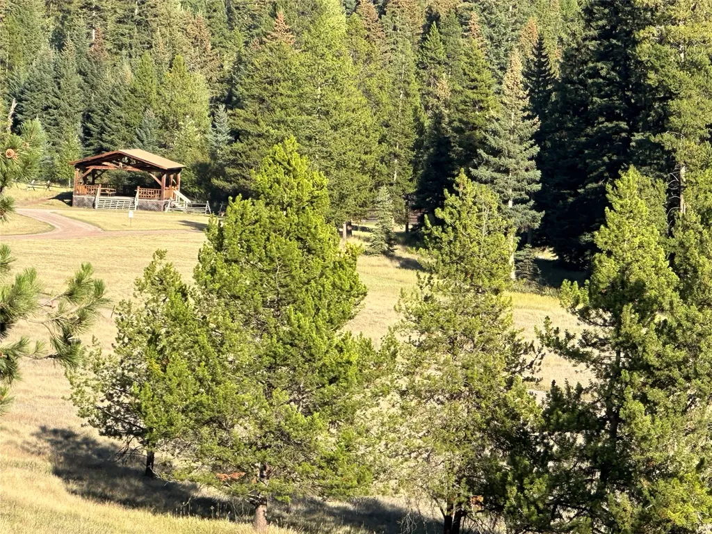 975 Whitetail Drive Seeley Lake MT 59868