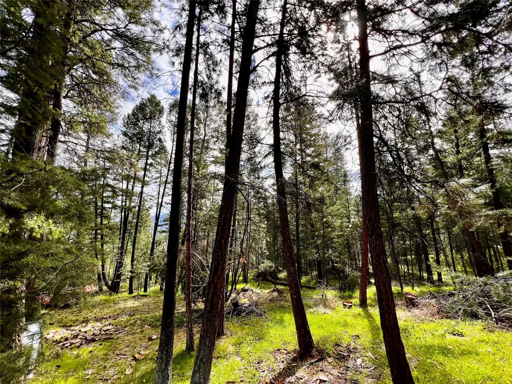 34239 Hilltop Drive Polson MT 59860