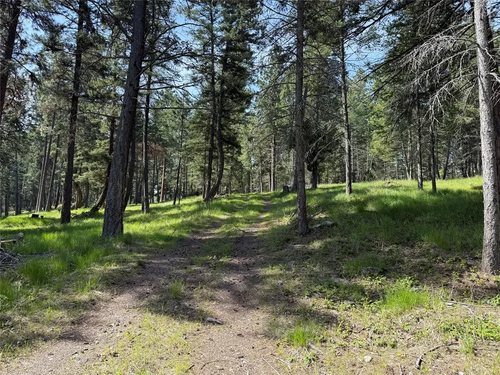 34239 Hilltop Drive Polson MT 59860