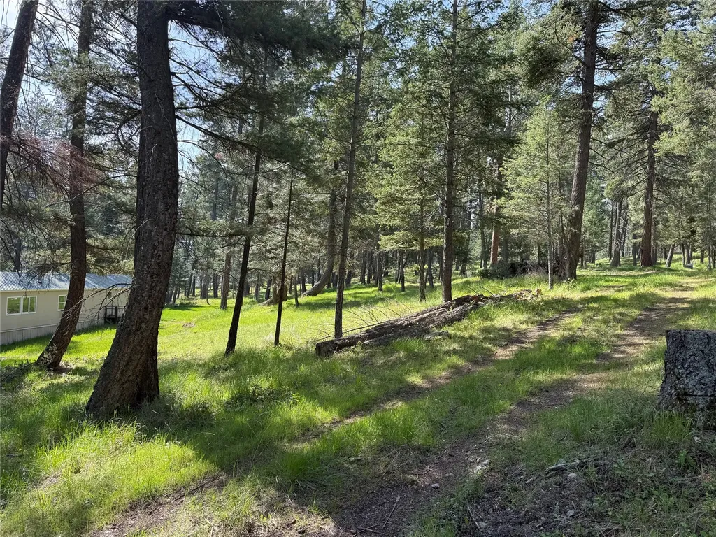 34239 Hilltop Drive Polson MT 59860