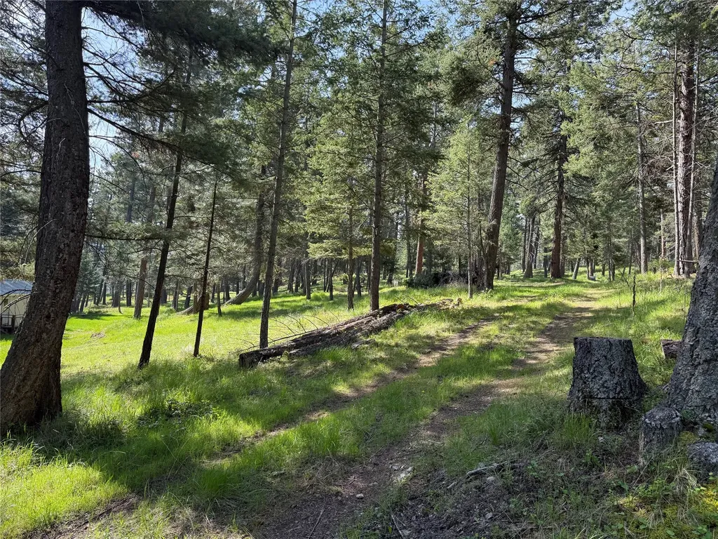 34239 Hilltop Drive Polson MT 59860