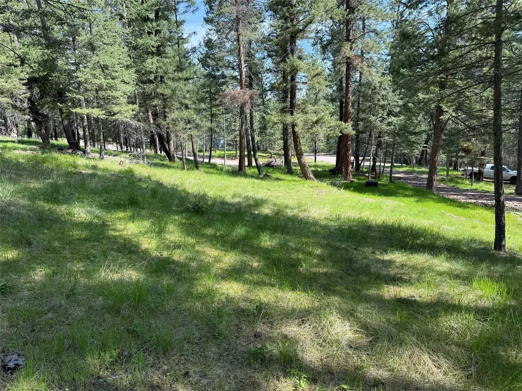 34239 Hilltop Drive Polson MT 59860