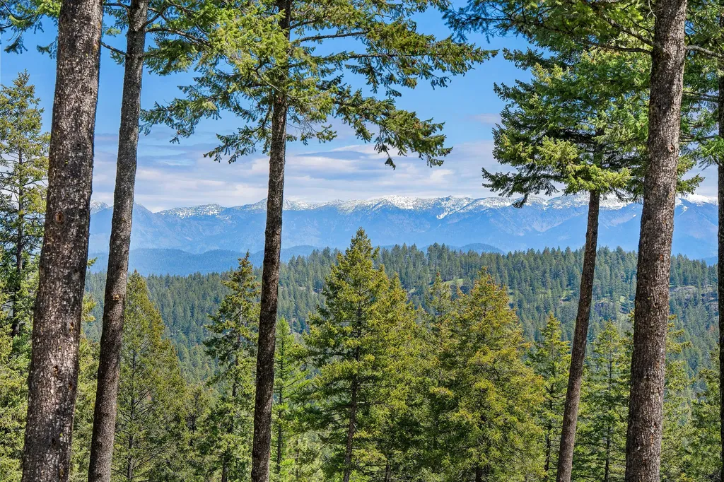 156 Goldenview Lane Lakeside MT 59922