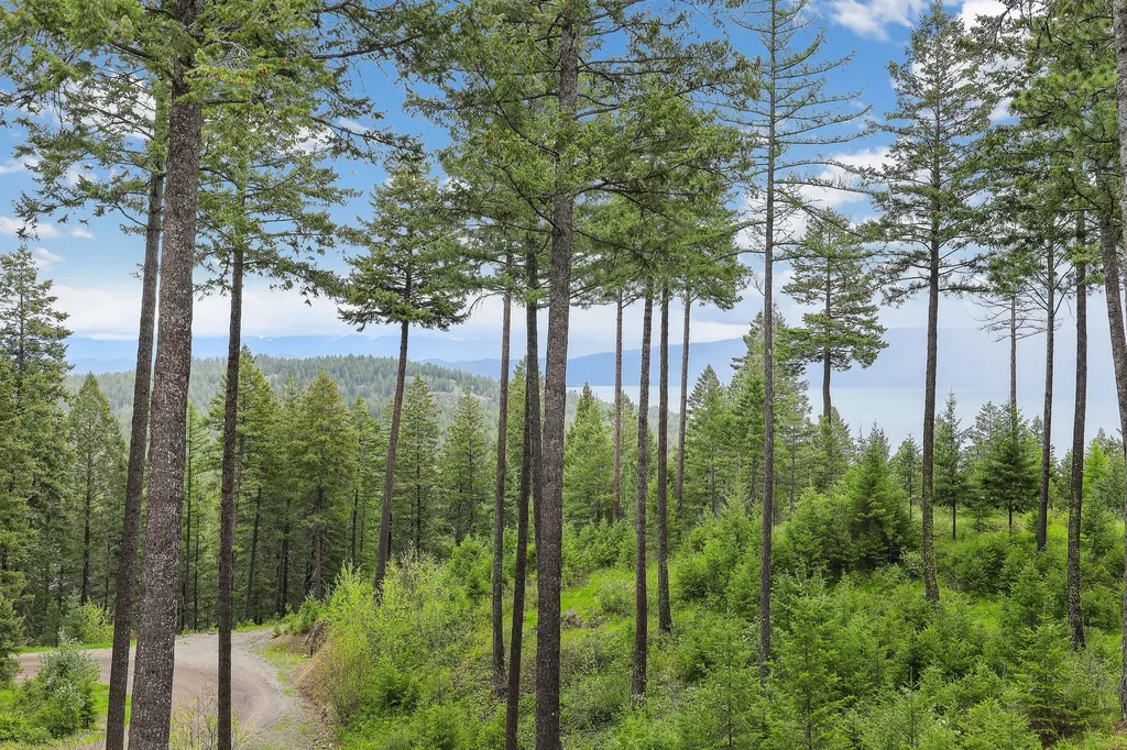 156 Goldenview Lane Lakeside MT 59922