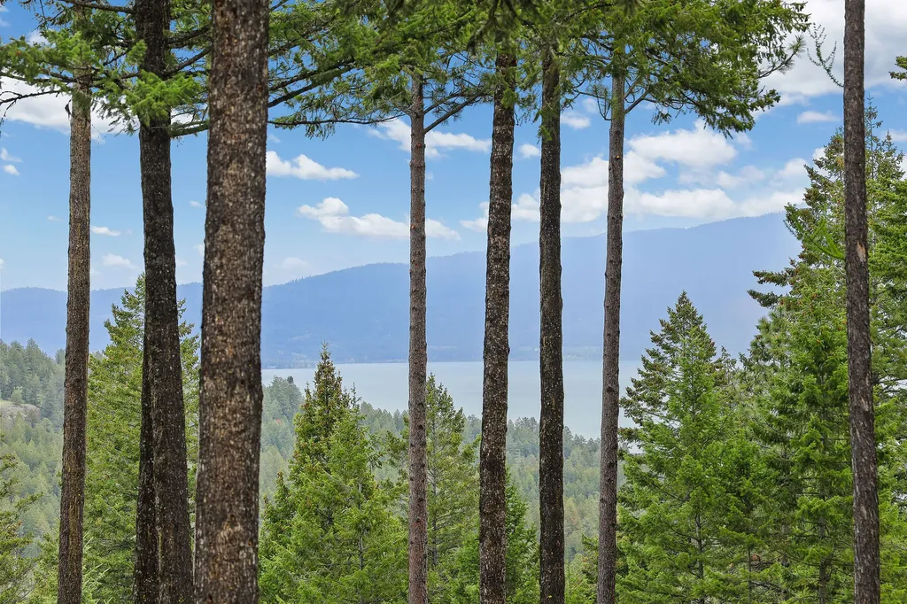 156 Goldenview Lane Lakeside MT 59922