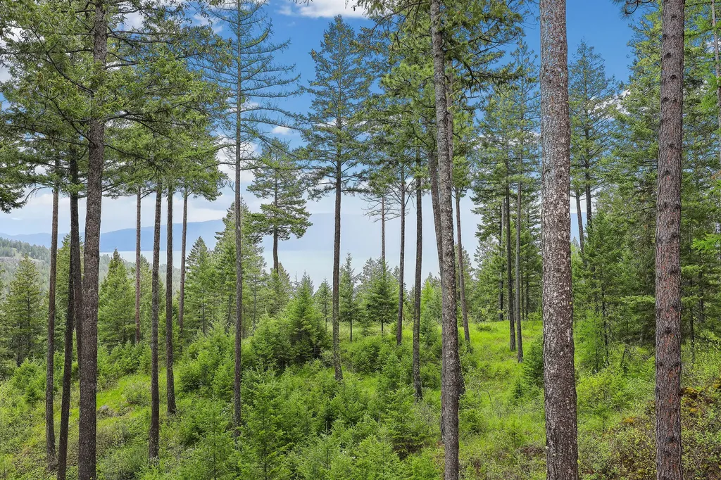 156 Goldenview Lane Lakeside MT 59922