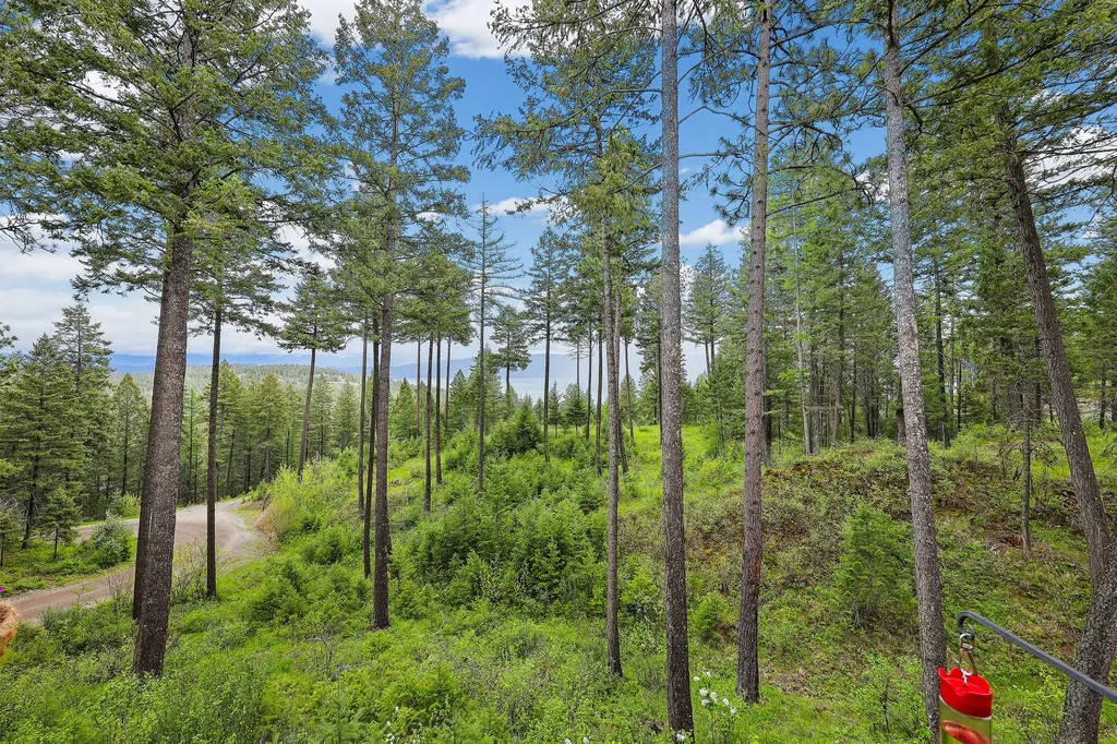 156 Goldenview Lane Lakeside MT 59922
