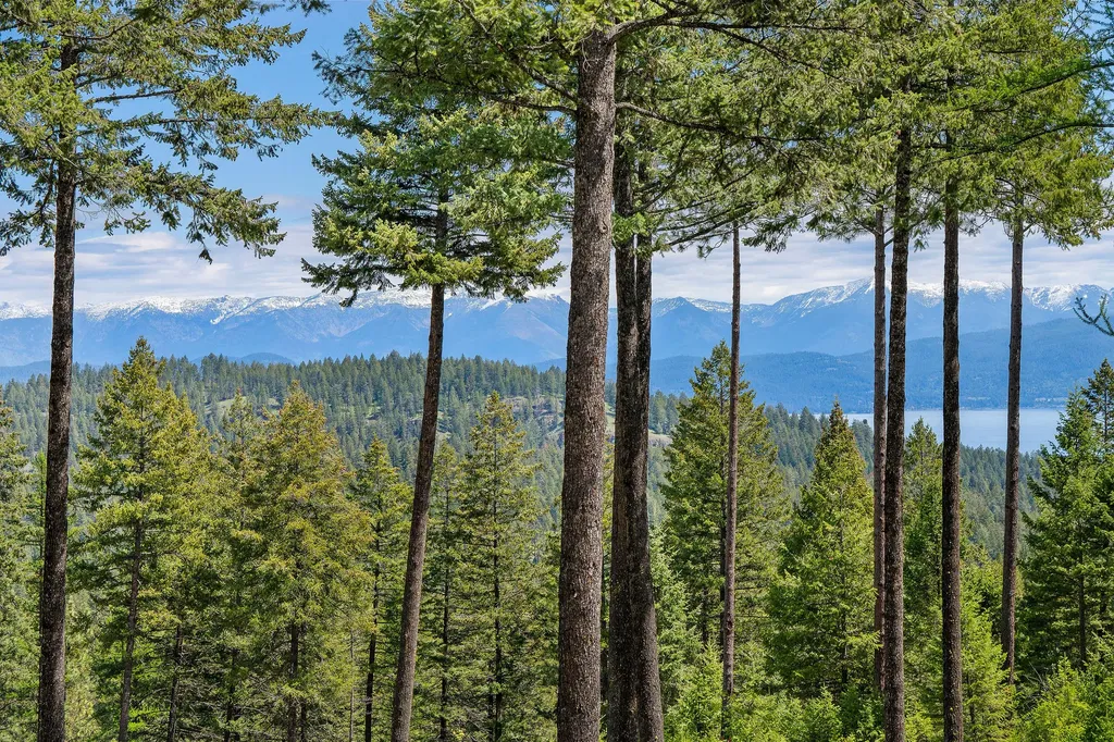 156 Goldenview Lane Lakeside MT 59922