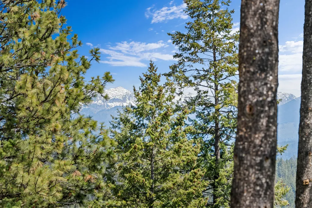 156 Goldenview Lane Lakeside MT 59922