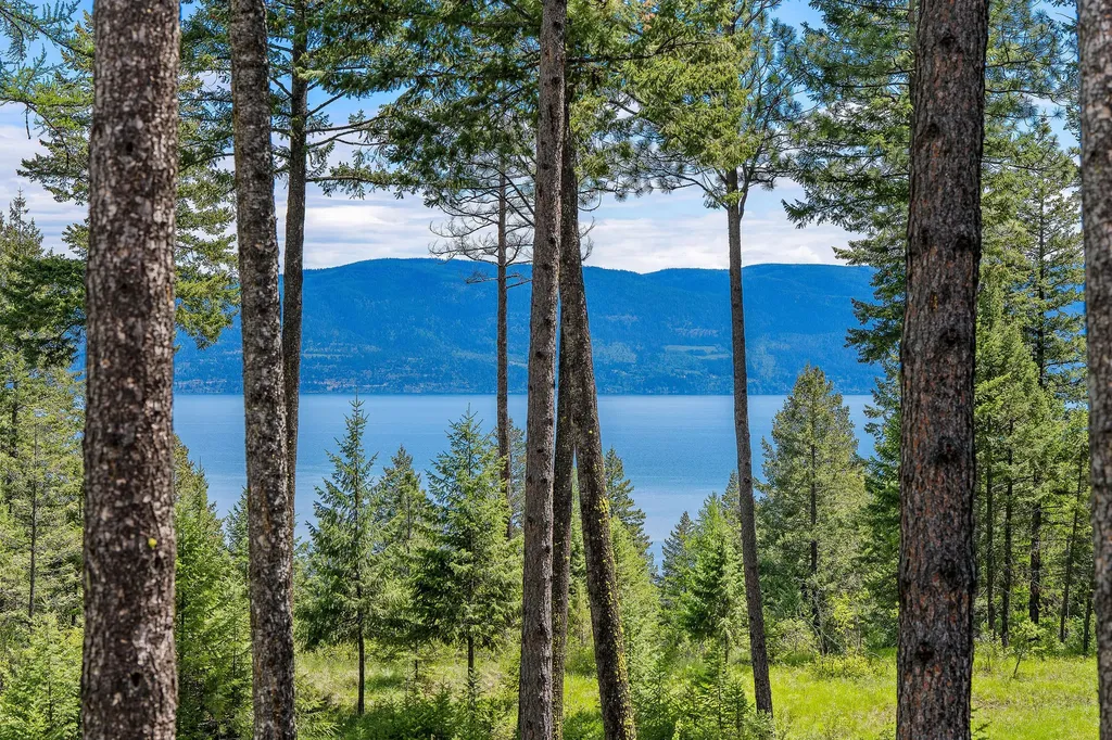 156 Goldenview Lane Lakeside MT 59922