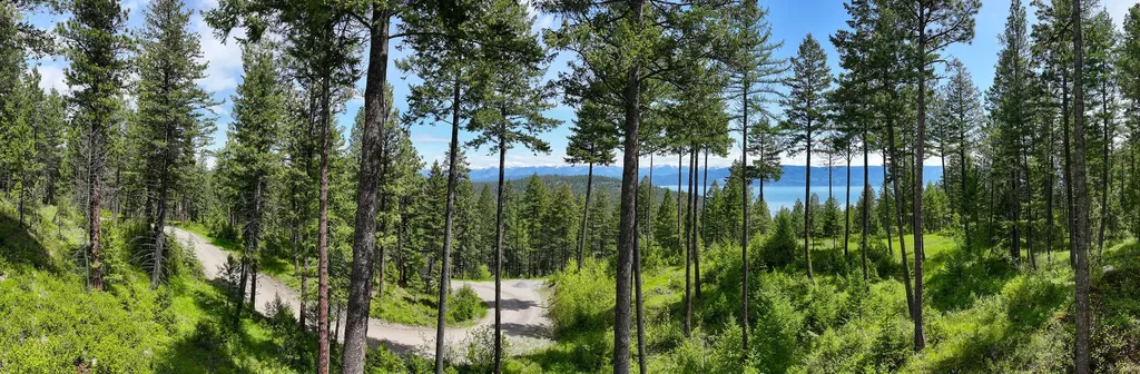 156 Goldenview Lane Lakeside MT 59922